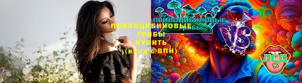 гидра Балахна