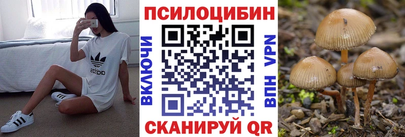 Галлюциногенные грибы Psilocybine cubensis  купить наркотик  Володарск 