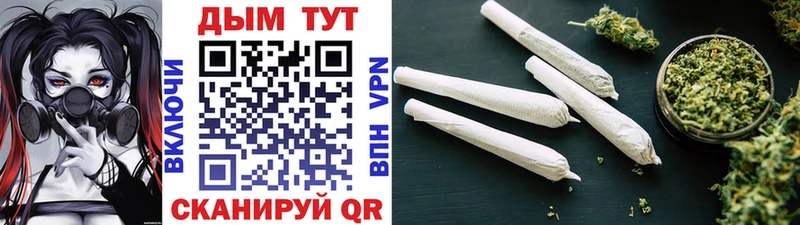 Конопля MAZAR  как найти закладки  Володарск 